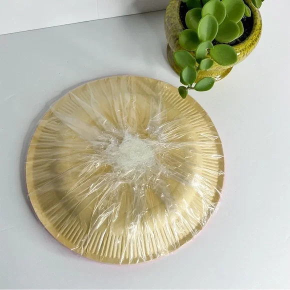 VINTAGE 70s Paper Plates Girl In Hat Bright Pink - Picture 3 of 4